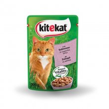 Kitekat φακελάκι γατοτροφή με σολομό και σάλτσα 100gr