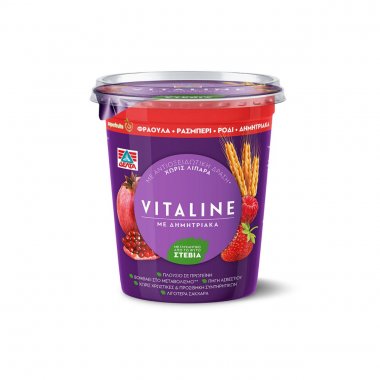 Δέλτα Vitaline επιδόρπιο γιαουρτιού με δημητριακά και Superfruits 380gr